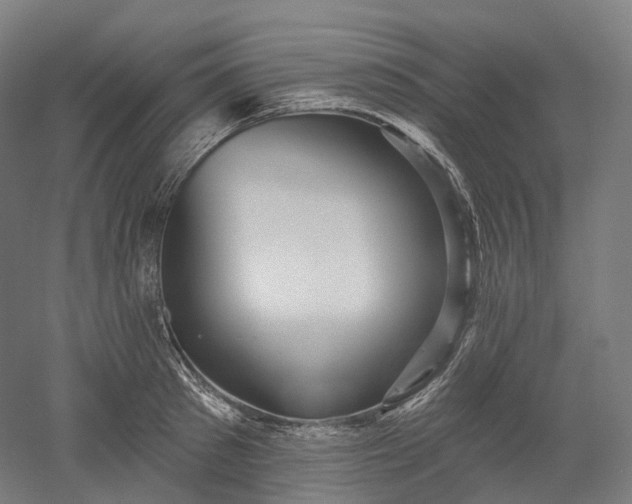 X0000052930897200507151614