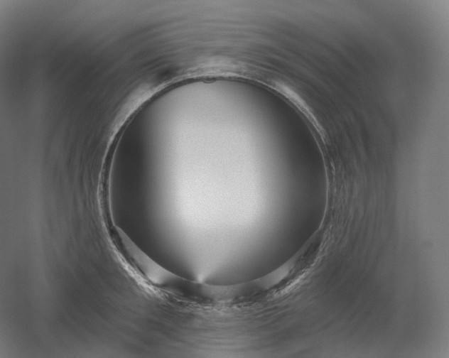 X0000052930901200507151613