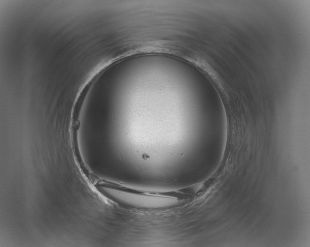 X0000052930902200507151613