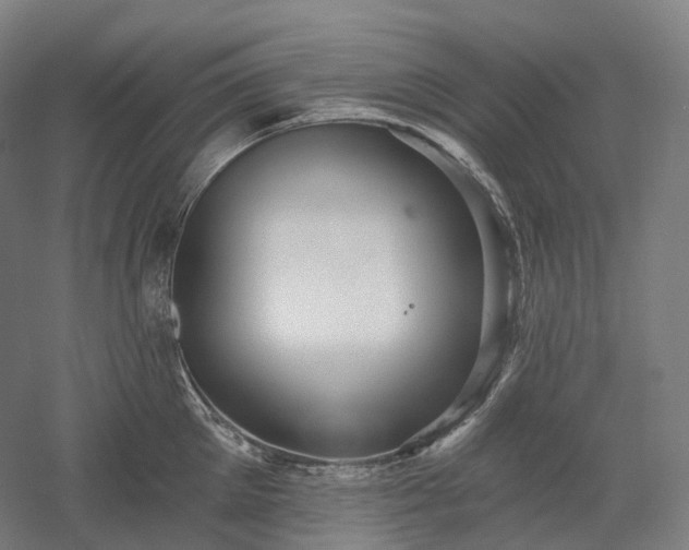 X0000052930905200507151613