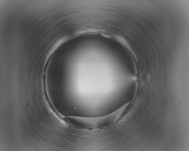 X0000052930906200507151613