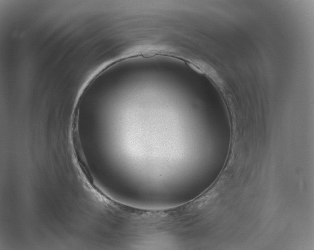 X0000052930912200507151613