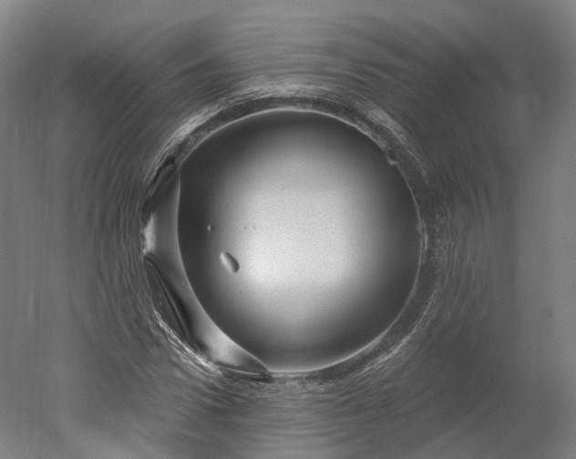 X0000052930922200507151613