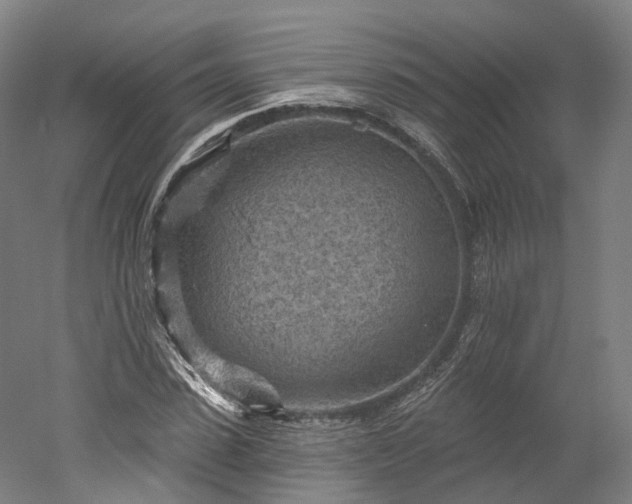 X0000052930923200507151613