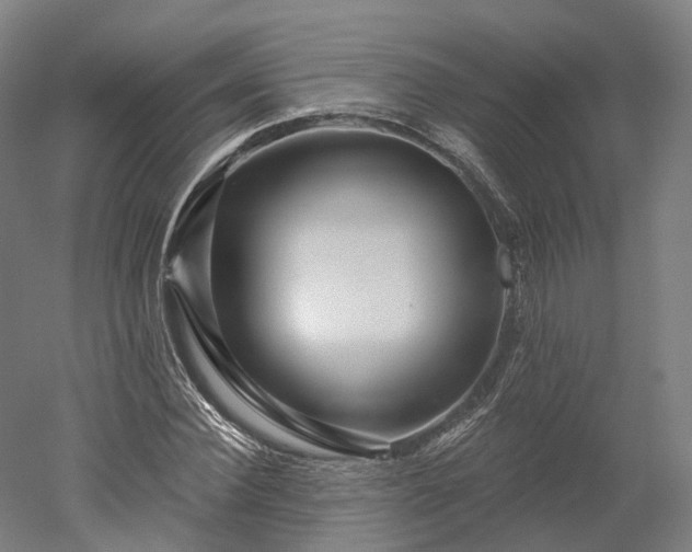 X0000052930924200507151613