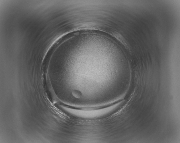 X0000052930926200507151613