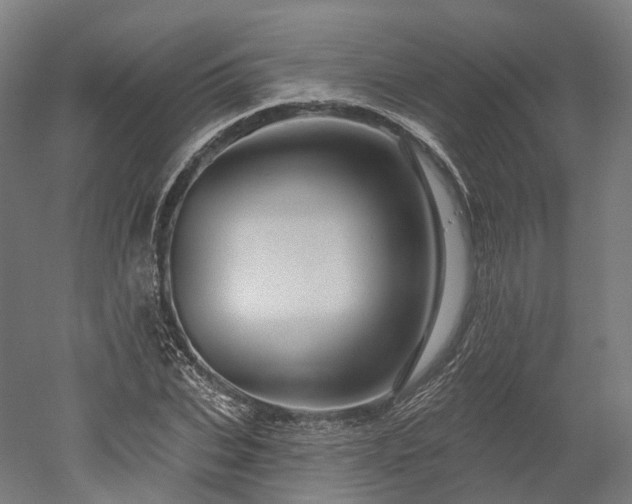 X0000052930927200507151613