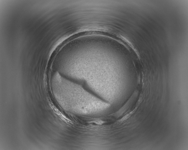 X0000052930928200507151613