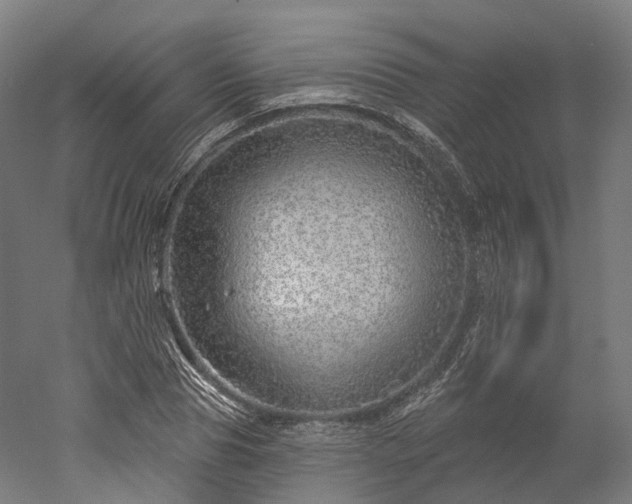 X0000052930929200507151613