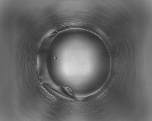 X0000052930930200507151613