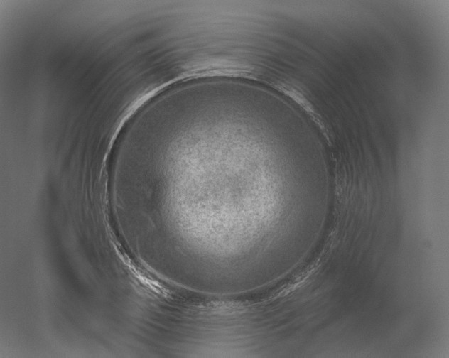 X0000052930933200507151613