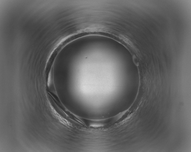 X0000052930934200507151613