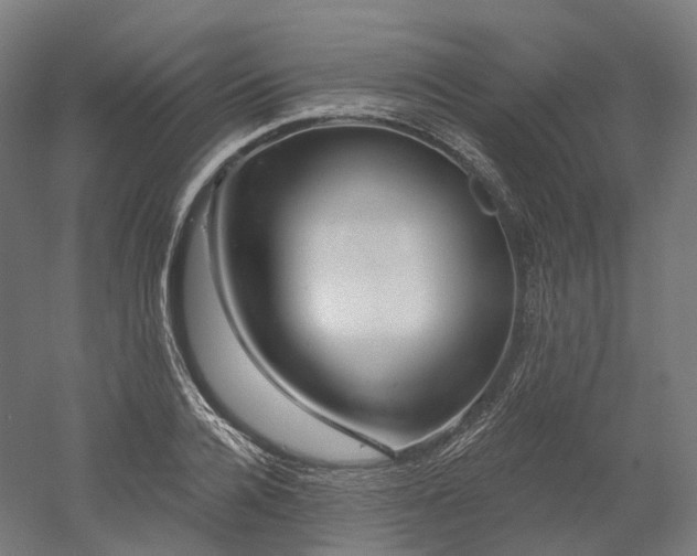 X0000052930936200507151613