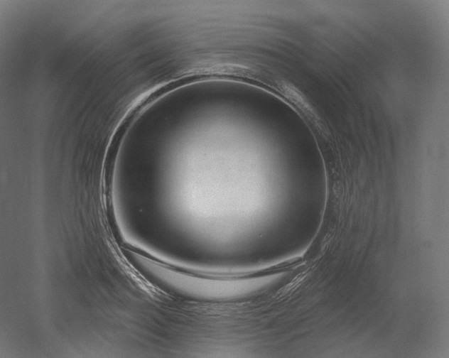 X0000052930940200507151613