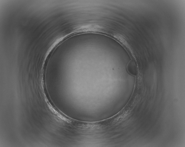 X0000052930941200507151613