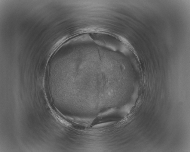 X0000052930946200507151613