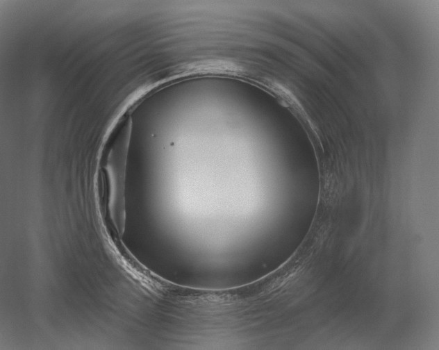 X0000052930947200507151613