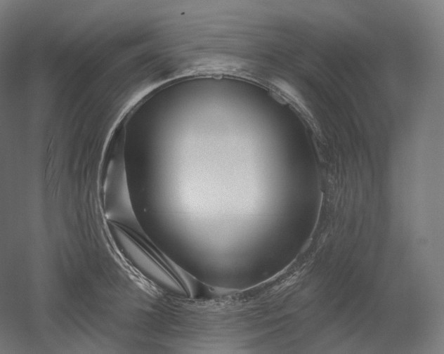 X0000052930948200507151613