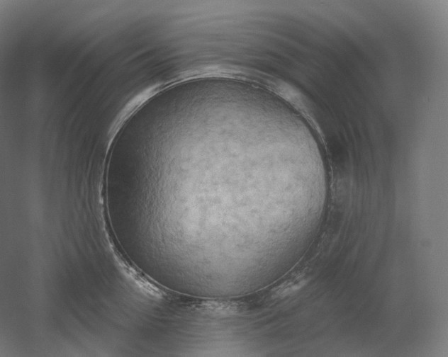 X0000052930954200507151613