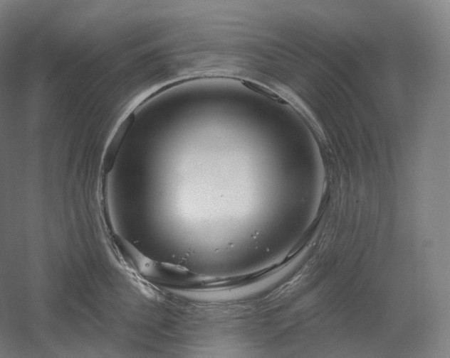 X0000052930956200507151613