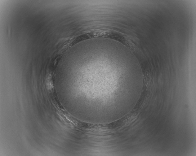 X0000052930962200507151612