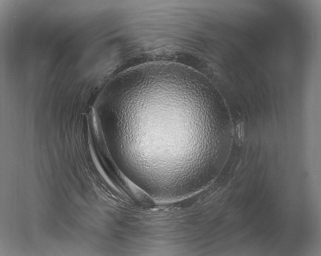 X0000052930963200507151612