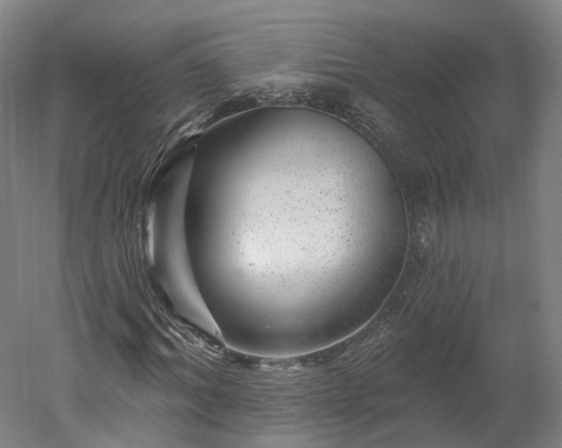X0000052930964200507151612