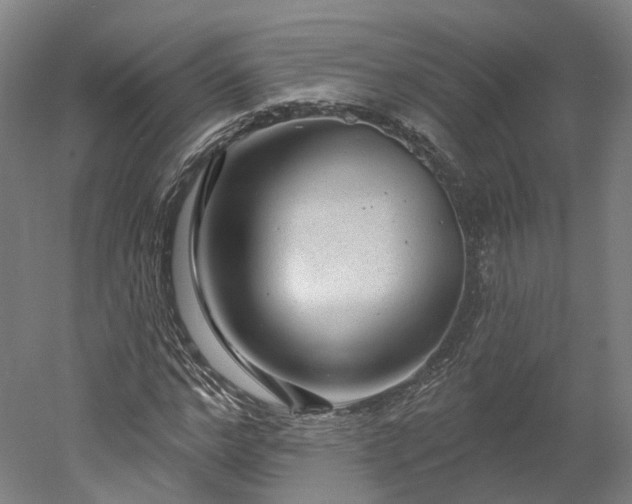 X0000052930968200507151612