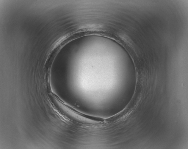 X0000052930970200507151612