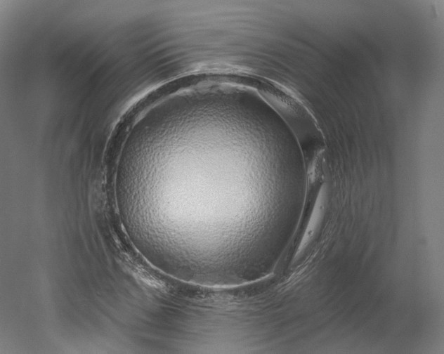 X0000052930971200507151612