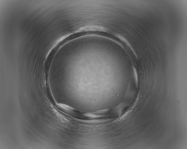 X0000052930973200507151612