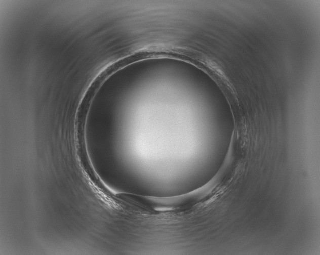 X0000052930976200507151612