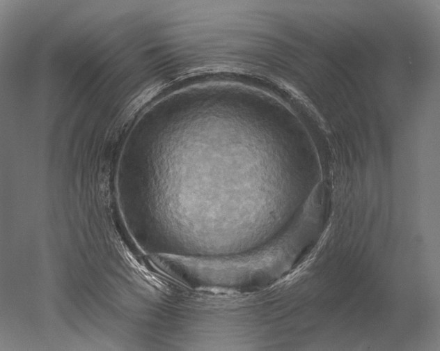 X0000052930977200507151612