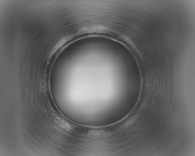 X0000052930978200507151612