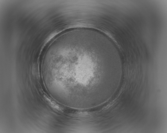 X0000052930982200507151612
