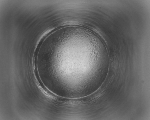 X0000052930987200507151612