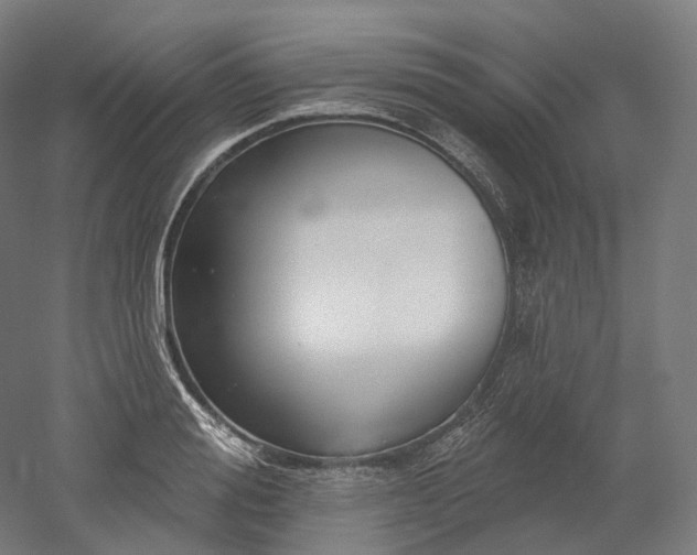 X0000052930988200507151612