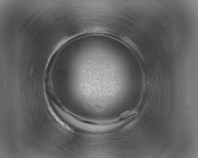 X0000052930989200507151612