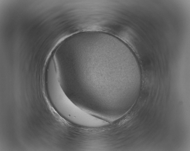 X0000052931000200507151612