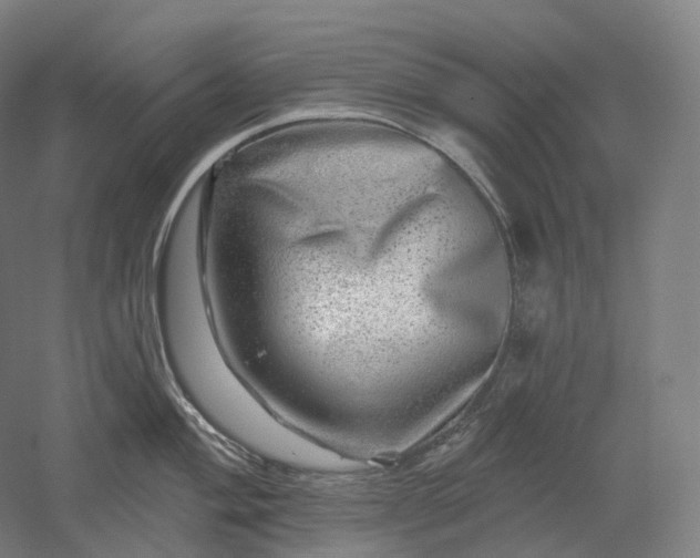 X0000052931004200507151612