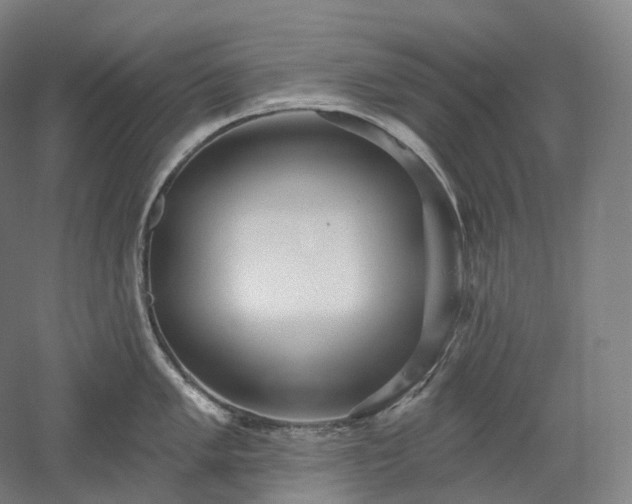 X0000052931005200507151612