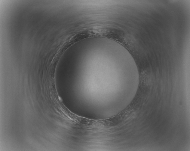 X0000052931009200507151611