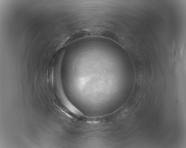 X0000052931010200507151611