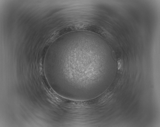 X0000052931011200507151611