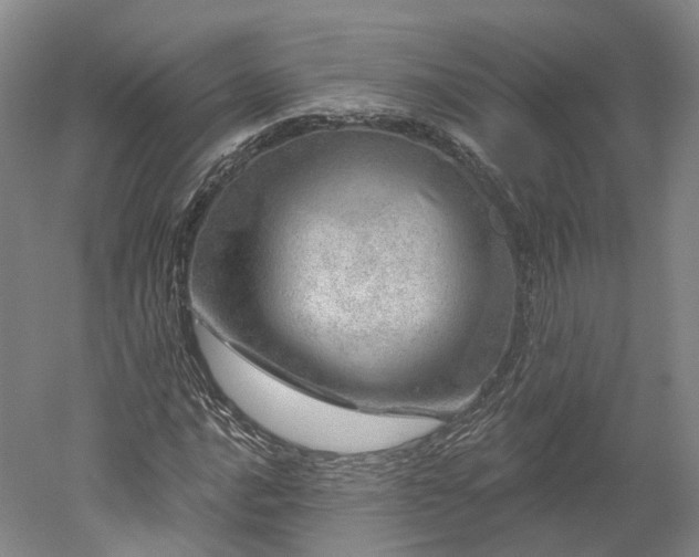 X0000052931016200507151611