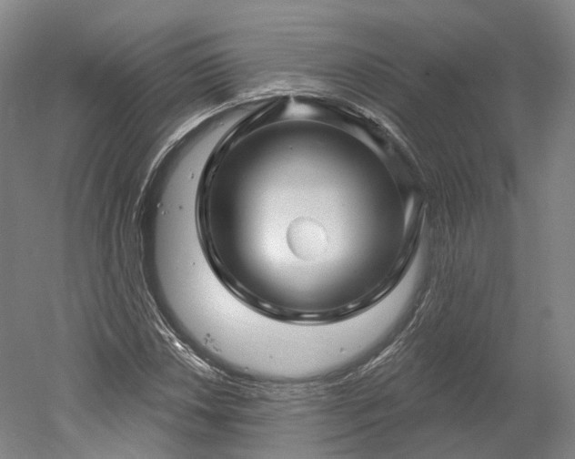 X0000052931018200507151611