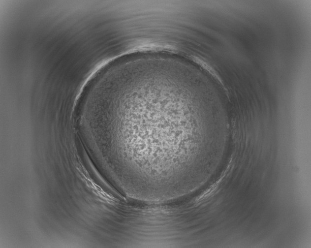 X0000052931021200507151611