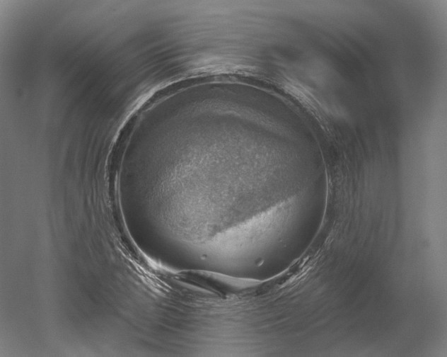 X0000052931023200507151611