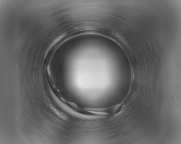 X0000052931026200507151611