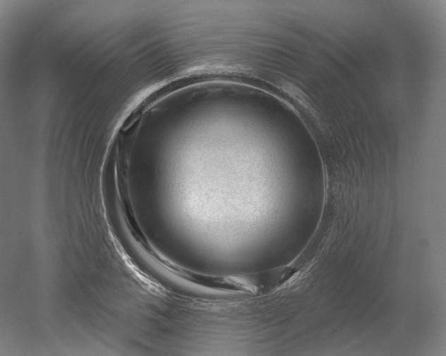 X0000052931030200507151611
